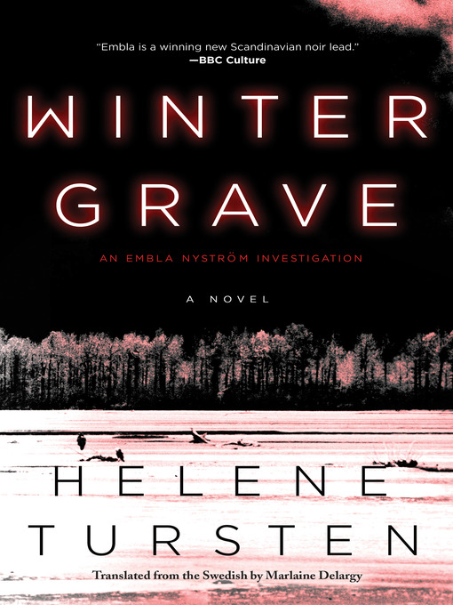 Cover image for Winter Grave